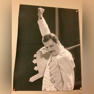 Textured Freddy mercury posture